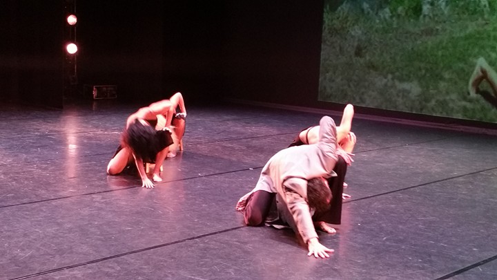 12063308_10153571501687279_915997342674792798_n