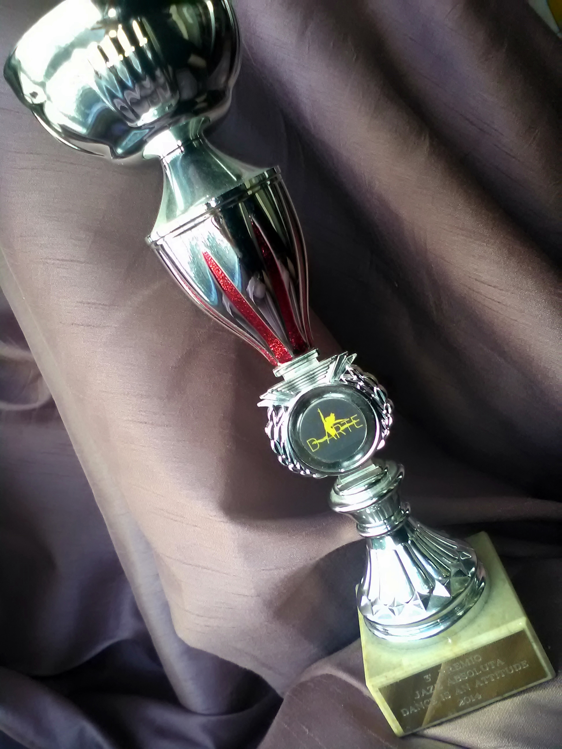 COPA DANCE IS AN ATTITUDE 2014.jpg